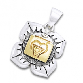 Chakra vedh<br><img src=